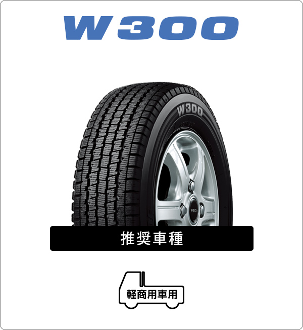 W300